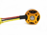 AERIZON Gold 2213-1000 Parkfly
